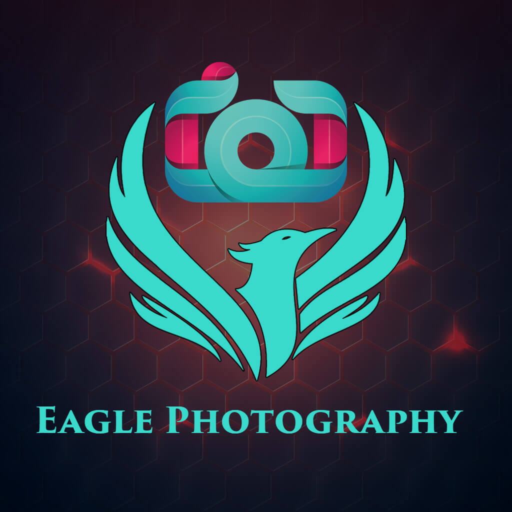 eagle photography logo