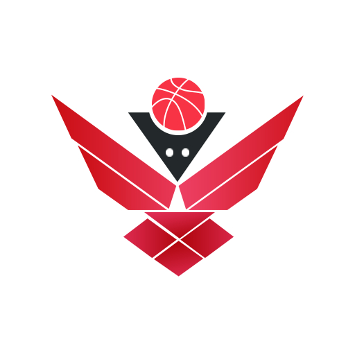 Bold Abstract Basketball Logo
