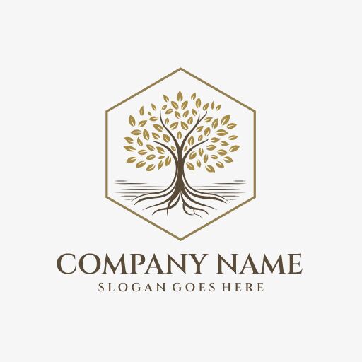 elegant hexagon logo design template