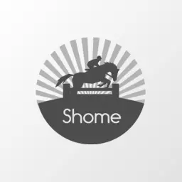 Gray circular motion-inspired racing logo design