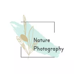Mint green watercolor botanical nature photography logo template with gold leaf